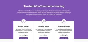 WooCommerce Security: The Eight Things You Should Do First