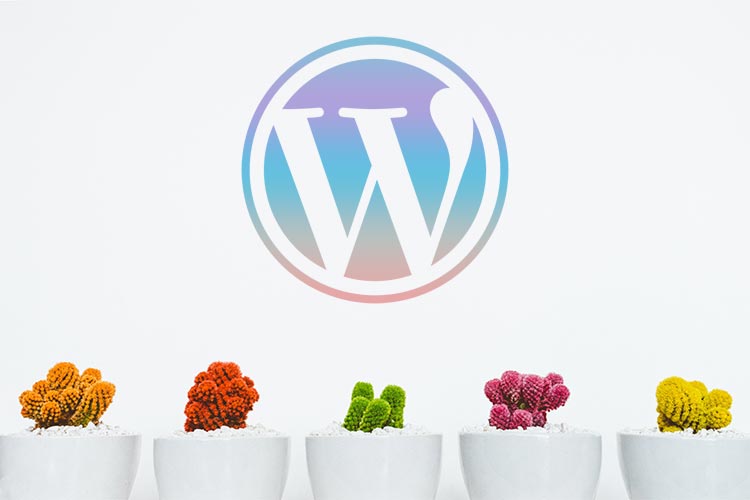 5 WordPress Side Projects To Help You Learn & Grow