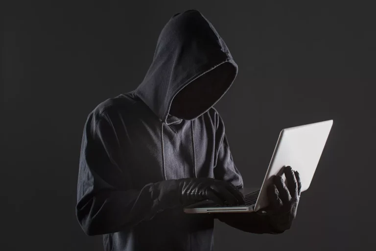 Cyber Fortress: Safeguarding Yourself from Modern Digital Threats – Technoclick