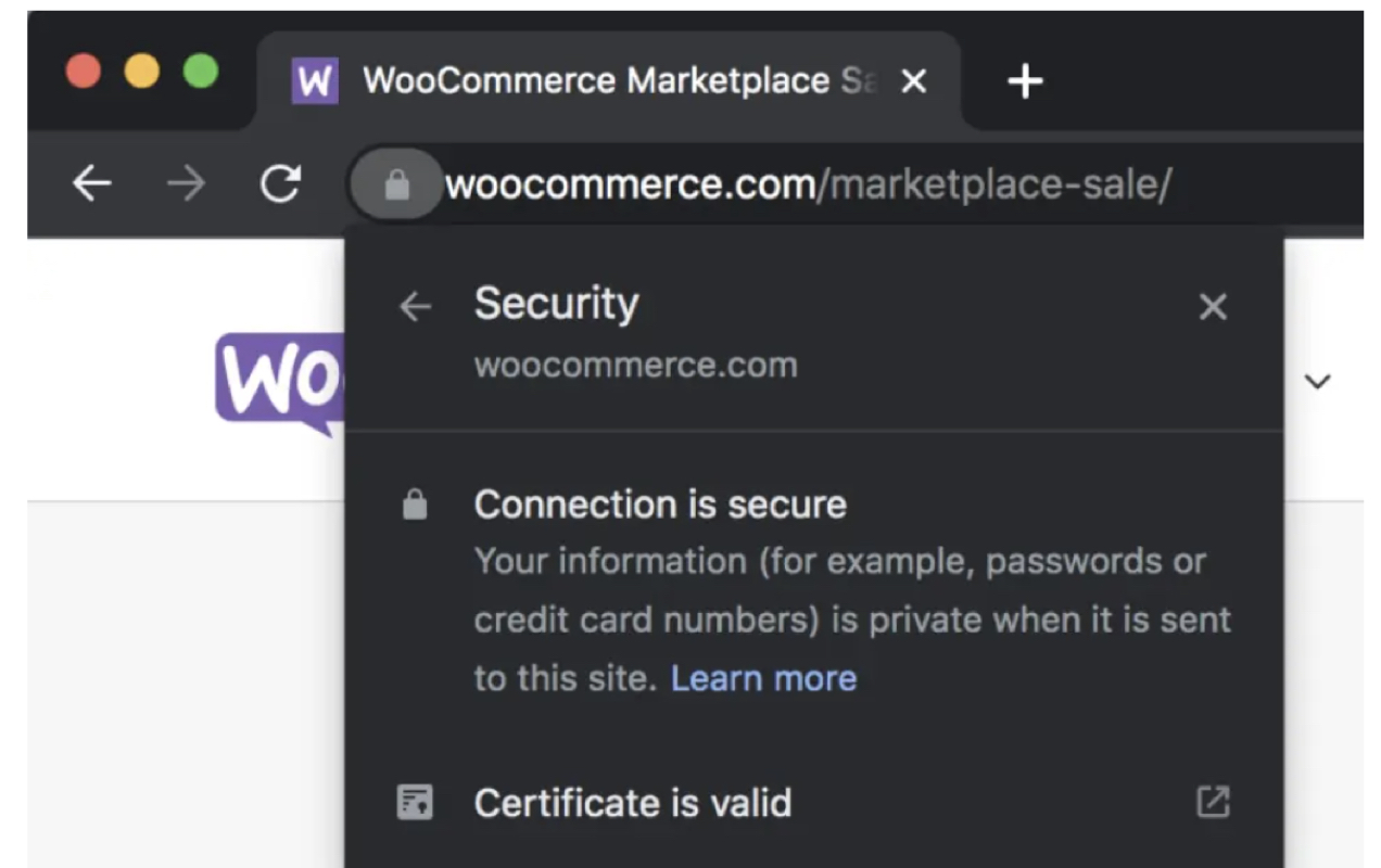 example of a URL with an SSL certificate