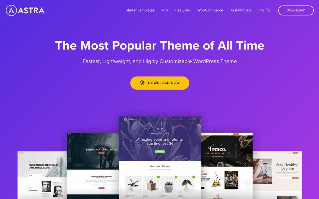 Astra | Top WooCommerce Theme