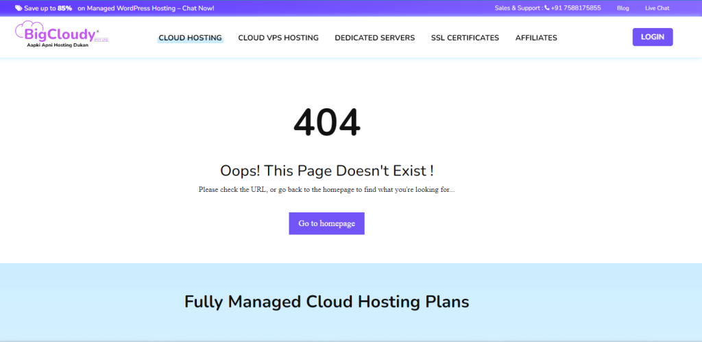 404 Not Found | WordPress Themes