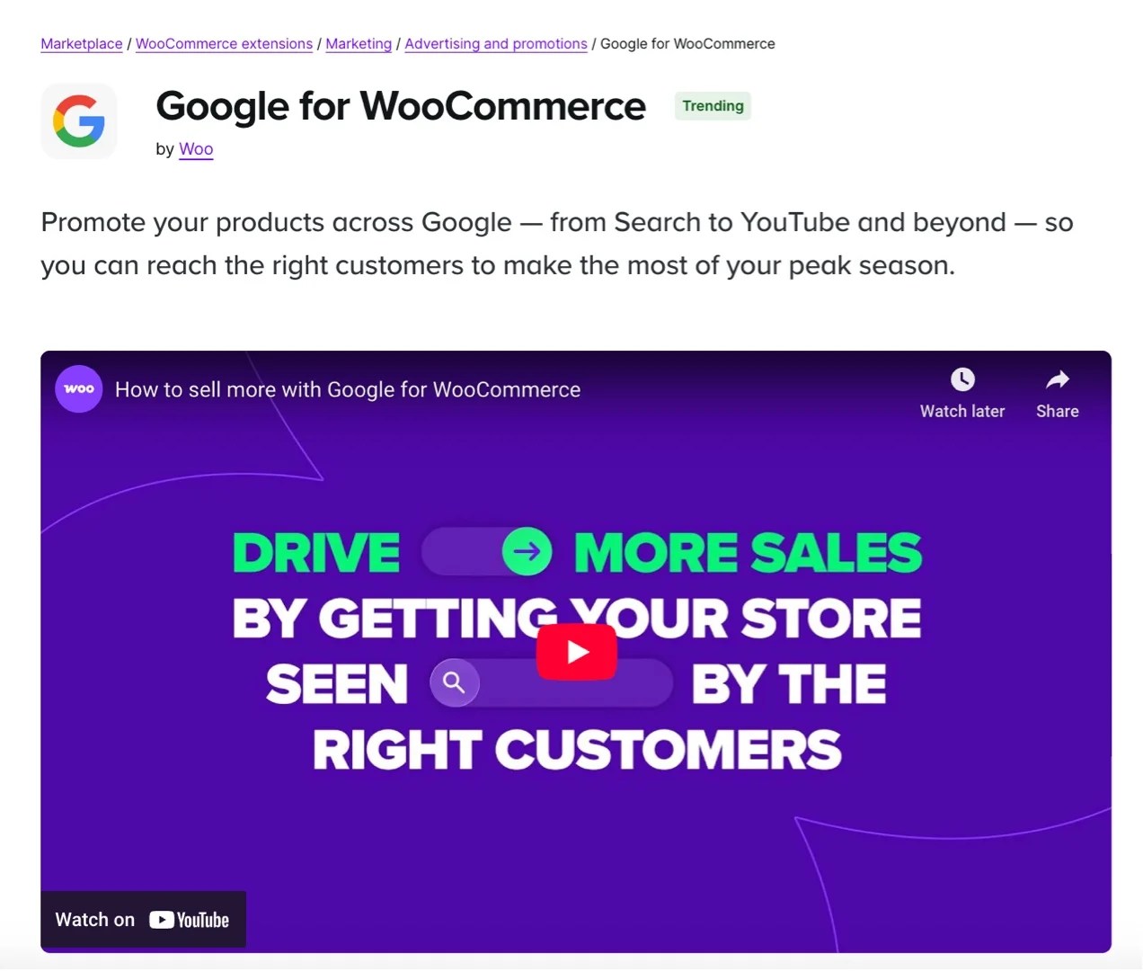 Google for WooCommerce extension page